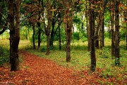 世界杯VAR判罚引争议 国际足联宣布赛后复盘，世界杯var裁判集锦