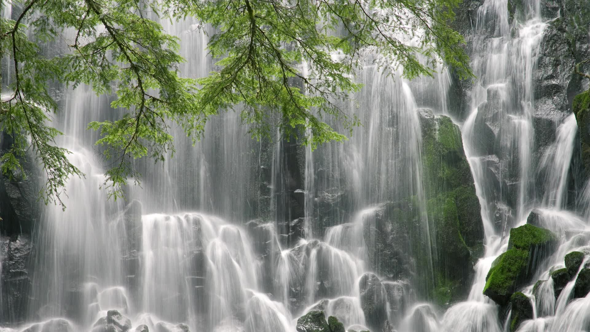世界短道速滑科研训练模型应用示范基地第32批揭牌通知,世界短道速滑锦标赛2021中国队